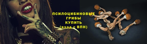 СК Богданович
