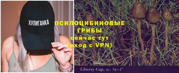 герыч Алагир