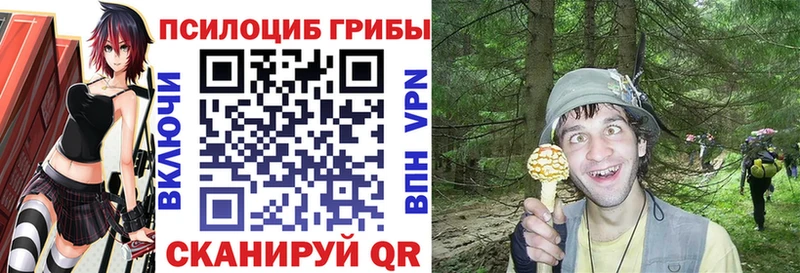 Псилоцибиновые грибы Psilocybine cubensis  OMG сайт  Вязьма  купить закладку 