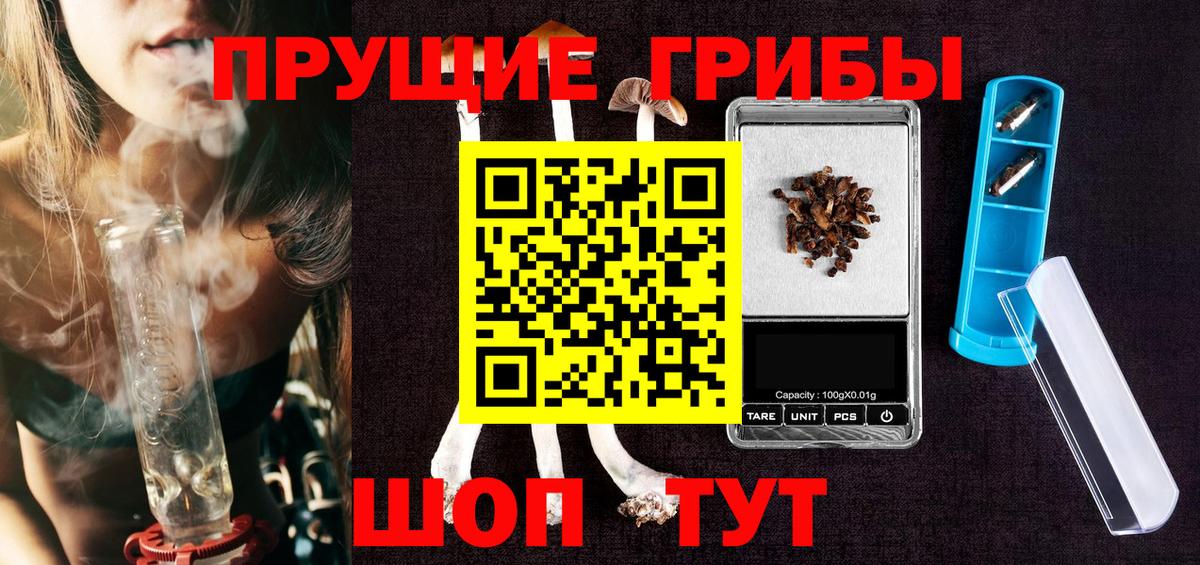 Псилоцибиновые грибы Psilocybe Вязьма