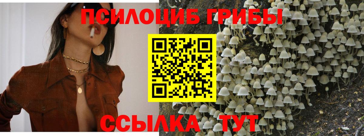 Псилоцибиновые грибы Magic Shrooms  Вход с VPN  Вязьма 